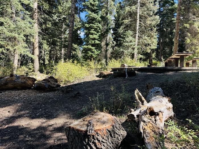 A photo of Site B05 of Loop B at PAYSON LAKES with Picnic Table