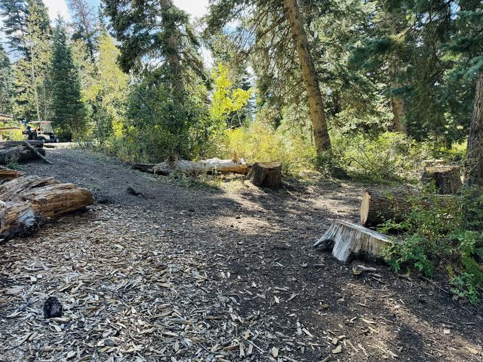 A photo of Site B05 of Loop B at PAYSON LAKES with Picnic Table