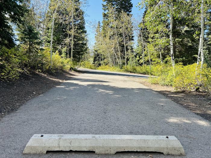 A photo of Site B05 of Loop B at PAYSON LAKES with Picnic Table