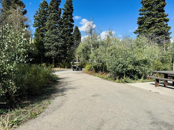 A photo of Site B24 of Loop B at PAYSON LAKES with Picnic Table