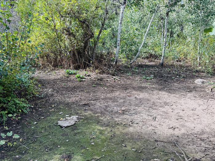 A photo of Site B24 of Loop B at PAYSON LAKES with Picnic Table