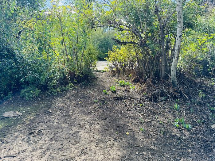 A photo of Site B24 of Loop B at PAYSON LAKES with Picnic Table