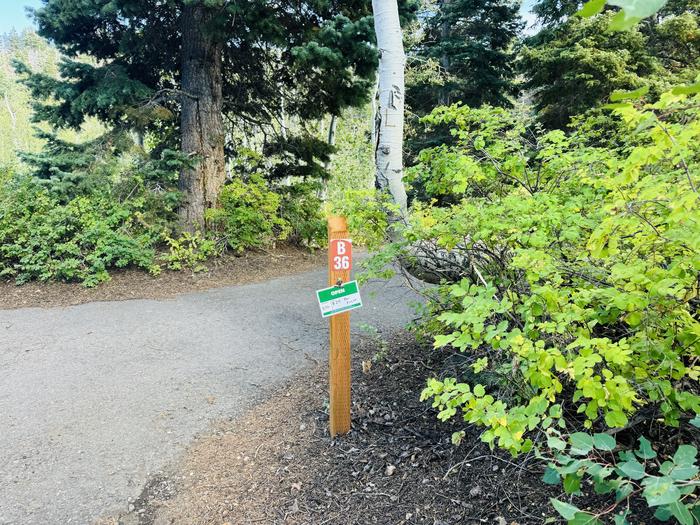 A photo of Site B36 of Loop B at PAYSON LAKES with Picnic Table