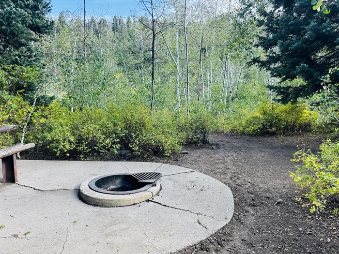 A photo of Site B36 of Loop B at PAYSON LAKES with Picnic Table