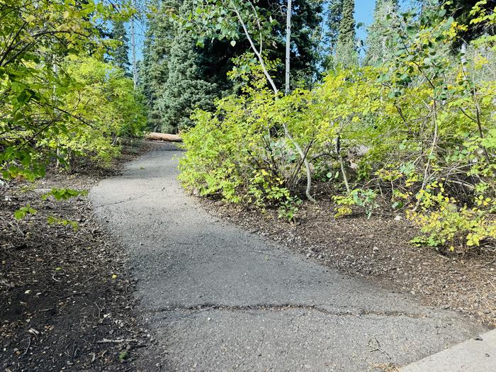 A photo of Site B36 of Loop B at PAYSON LAKES with Picnic Table