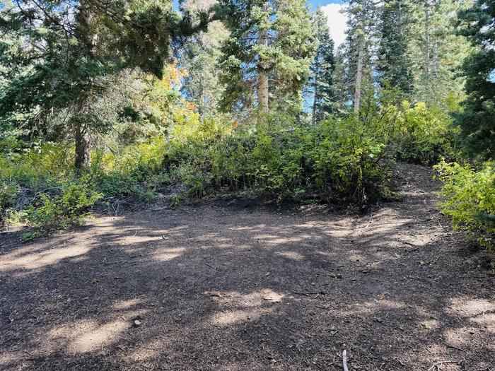 A photo of Site B08 of Loop B at PAYSON LAKES with Picnic Table