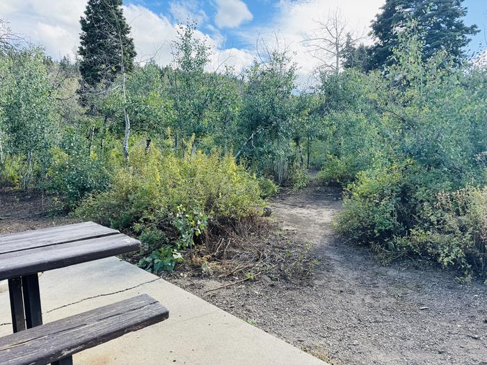 A photo of Site B28 of Loop B at PAYSON LAKES with Picnic Table