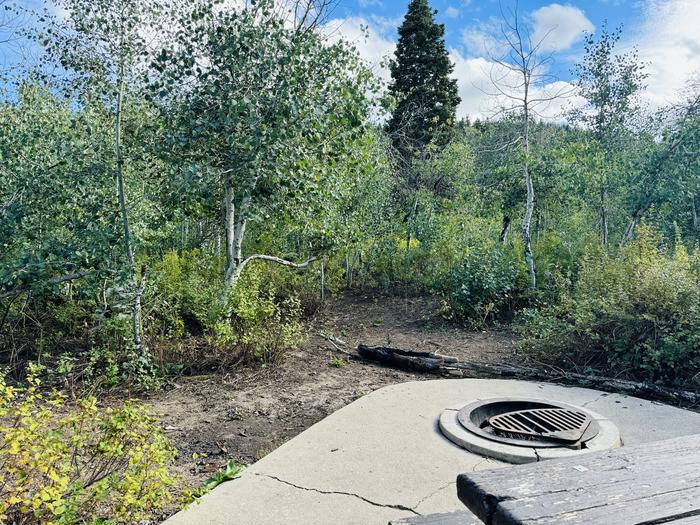 A photo of Site B28 of Loop B at PAYSON LAKES with Picnic Table