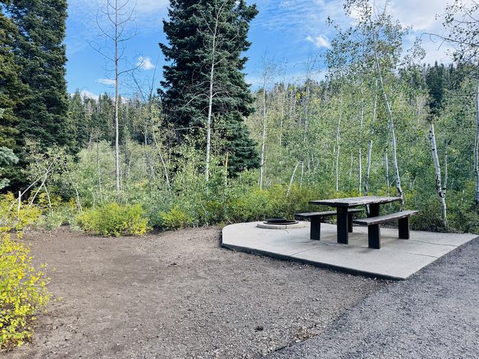 A photo of Site B33 of Loop B at PAYSON LAKES with Picnic Table