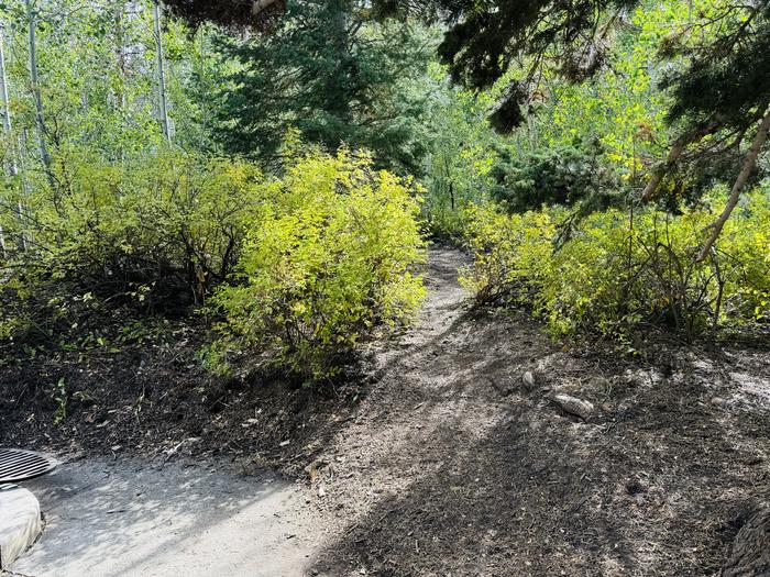 A photo of Site B23 of Loop B at PAYSON LAKES with Picnic Table