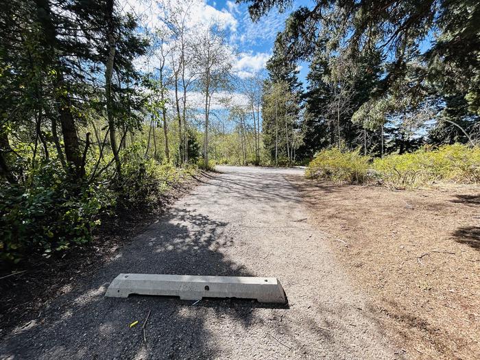 A photo of Site B15 of Loop B at PAYSON LAKES with Picnic Table