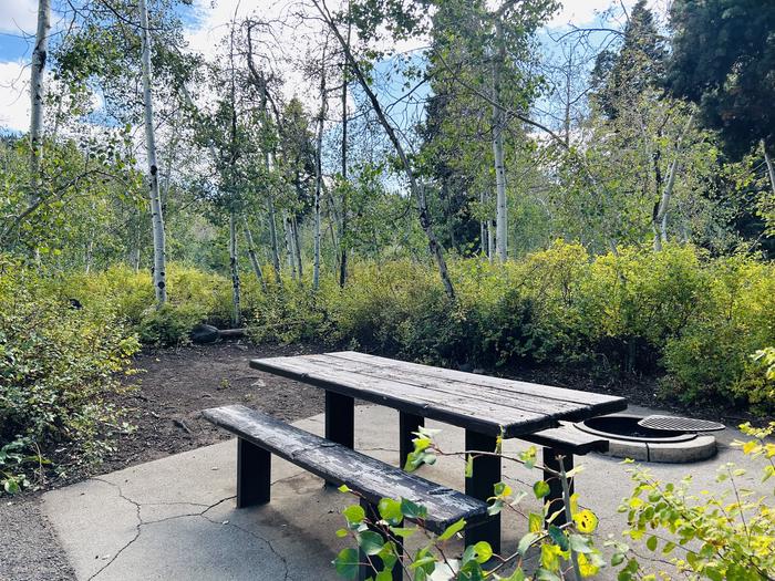 A photo of Site B32 of Loop B at PAYSON LAKES with Picnic Table