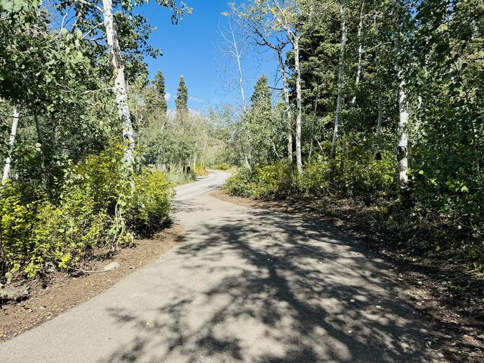 A photo of Site B22 of Loop B at PAYSON LAKES with Picnic Table