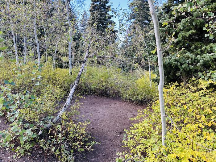 A photo of Site B30 of Loop B at PAYSON LAKES with Picnic Table