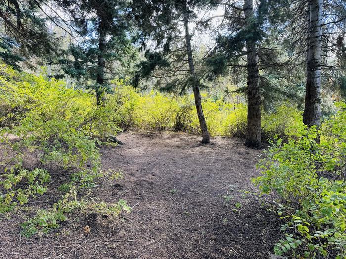 A photo of Site B14 of Loop B at PAYSON LAKES with Picnic Table