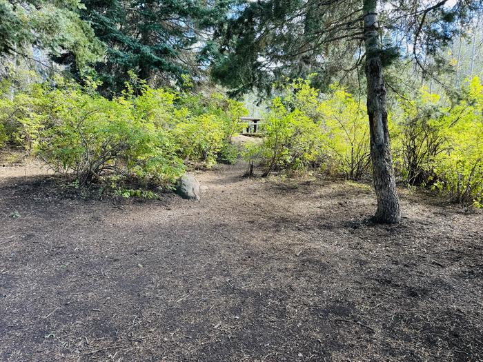 A photo of Site B14 of Loop B at PAYSON LAKES with Picnic Table