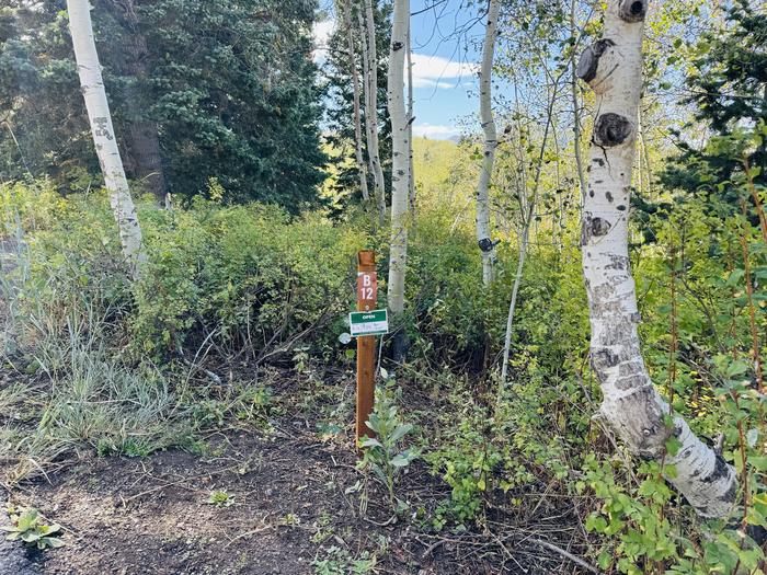 A photo of Site B12 of Loop B at PAYSON LAKES with Picnic Table