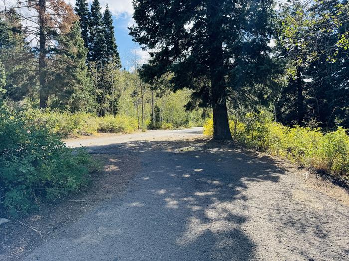 A photo of Site B12 of Loop B at PAYSON LAKES with Picnic Table