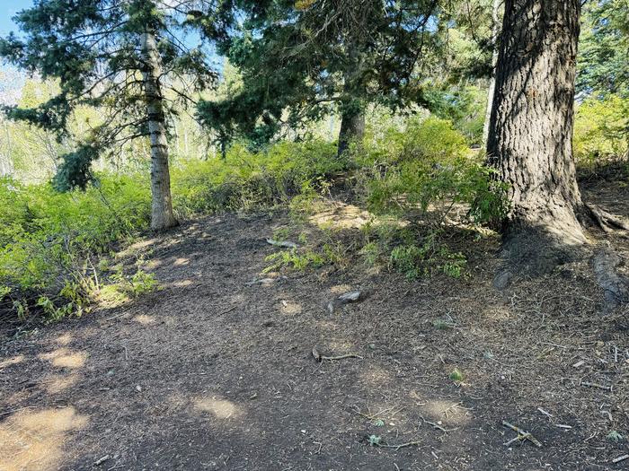 A photo of Site B12 of Loop B at PAYSON LAKES with Picnic Table