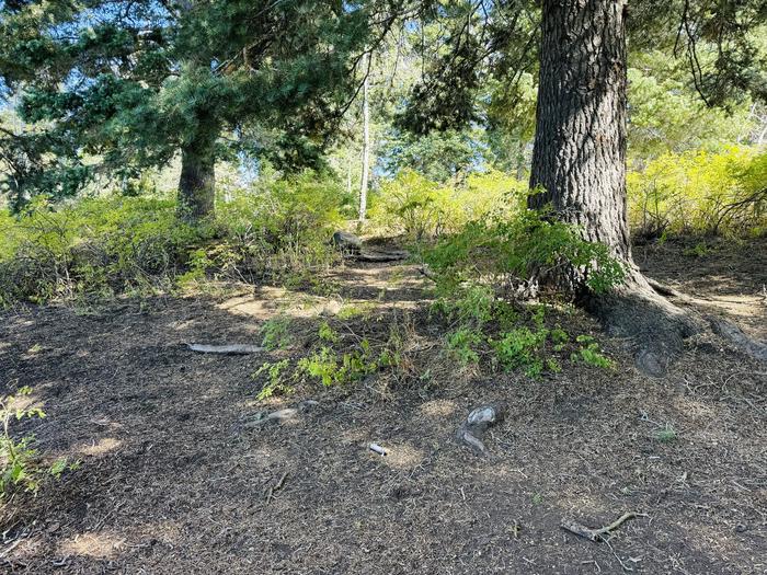 A photo of Site B12 of Loop B at PAYSON LAKES with Picnic Table