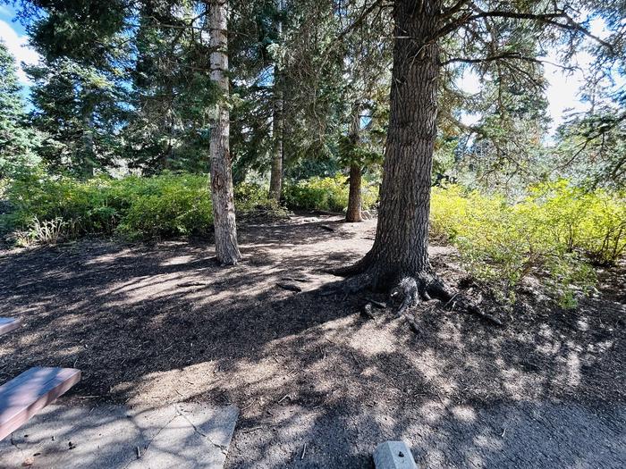 A photo of Site B10 of Loop B at PAYSON LAKES with Picnic Table