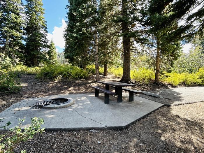 A photo of Site B10 of Loop B at PAYSON LAKES with Picnic Table