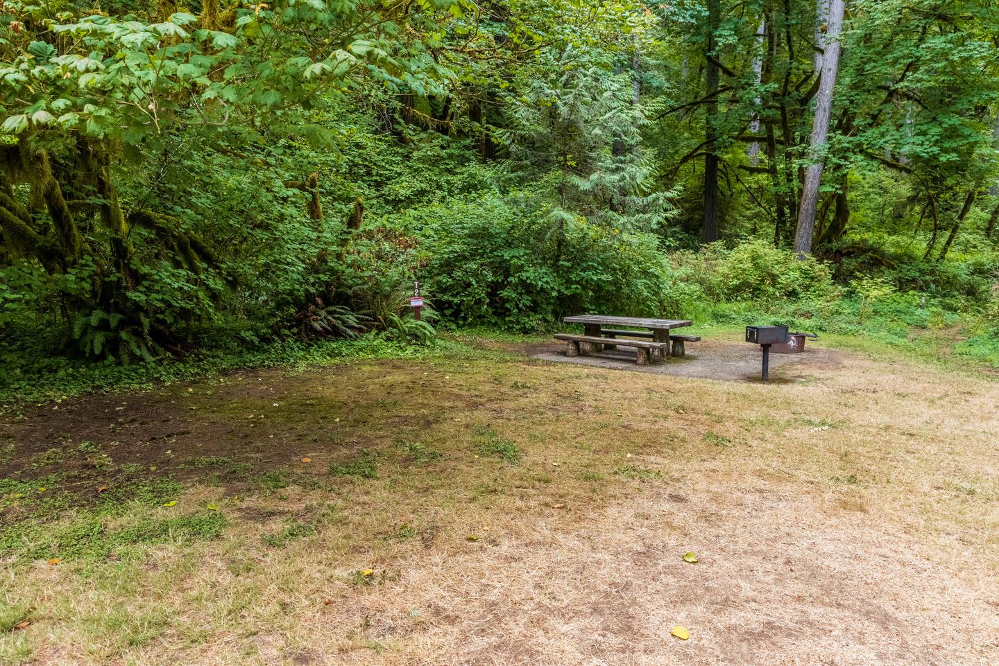 T2 Campsite tent pad and picnic table area.