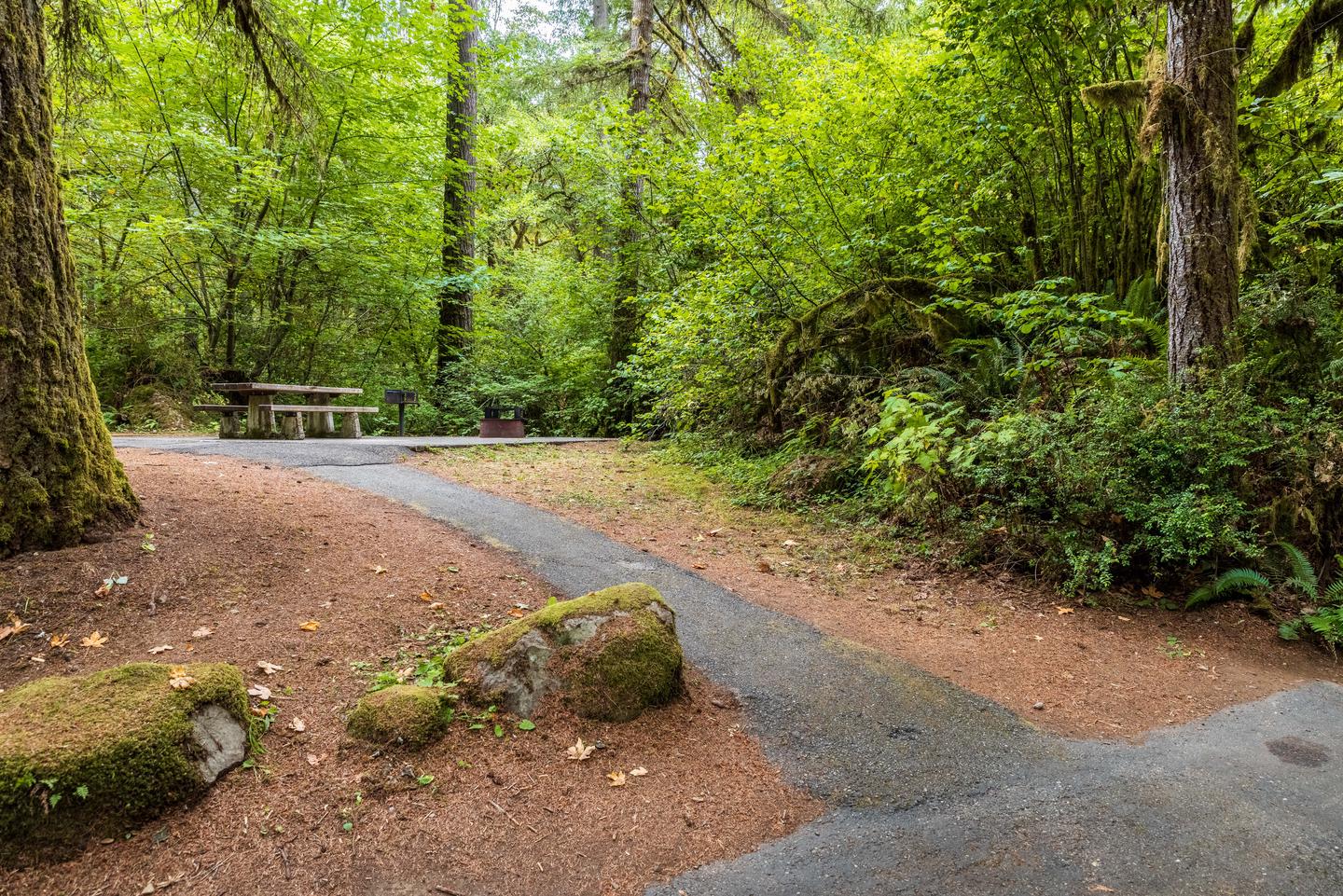 Campsite #2 path to picnic table, bbq grill, and fire pit.