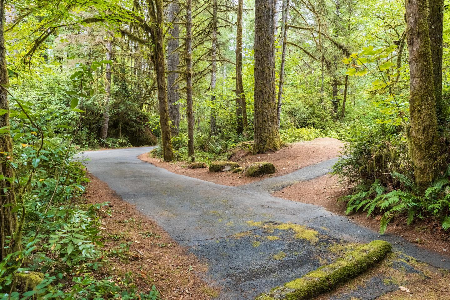 Campsite #2 parking pad and path to picnic area.