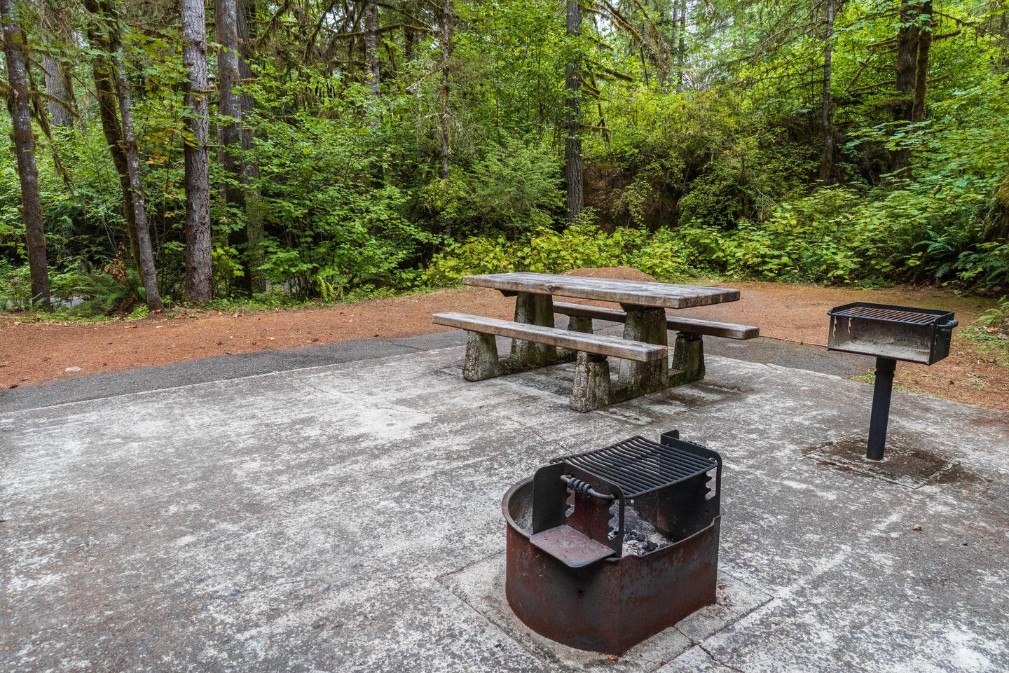 Campsite #2 picnic table, bbq grill, and fire pit area