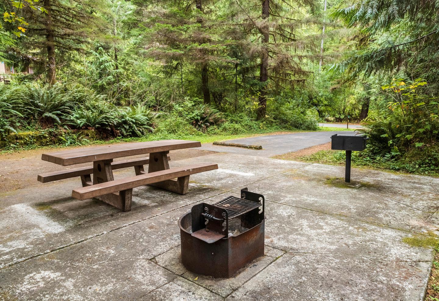 Campsite #3 picnic table, bbq grill, and fire pit.