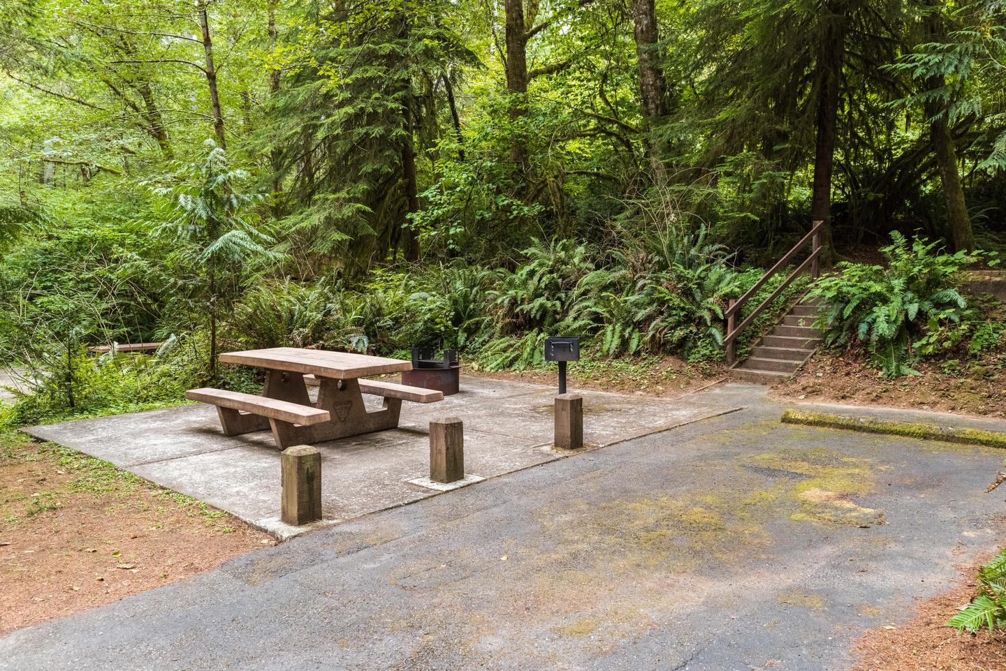 Campsite #4 picnic table, bbq grill, and fire pit.