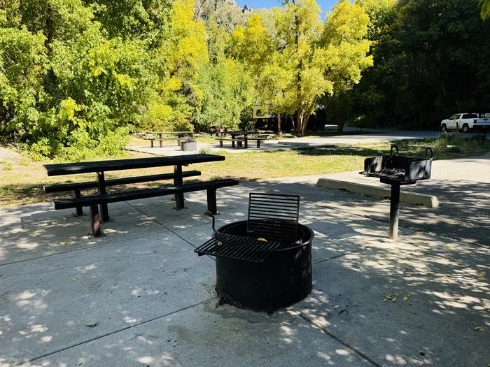 Picnic Table, Grill, Fire Ring