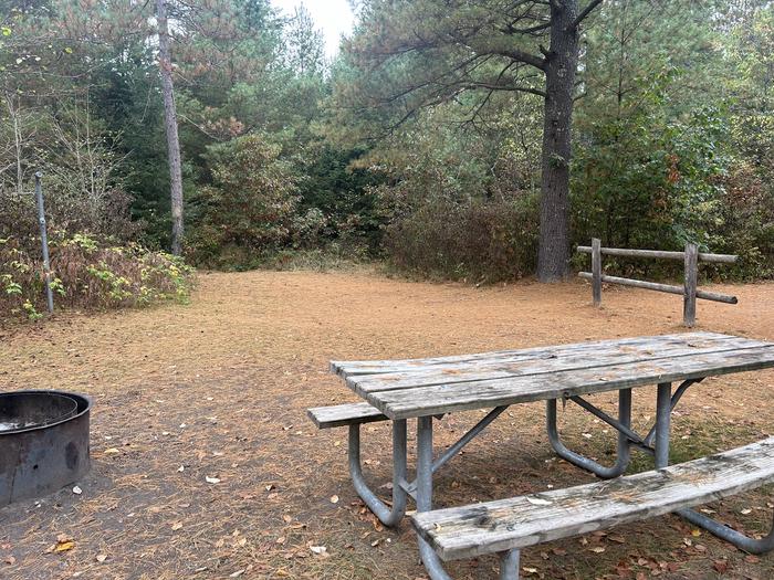 A photo of Site 4 of Loop Au Sable Loop at Au Sable Loop Campground with Picnic Table, Fire Pit, Lantern Pole