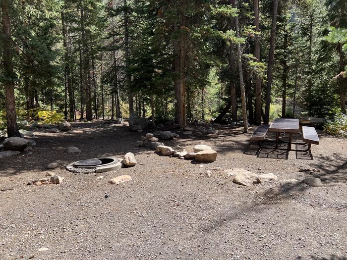 A photo of Site 3 of Loop COBBL at Cobblerest Campground with Picnic Table, Fire Pit