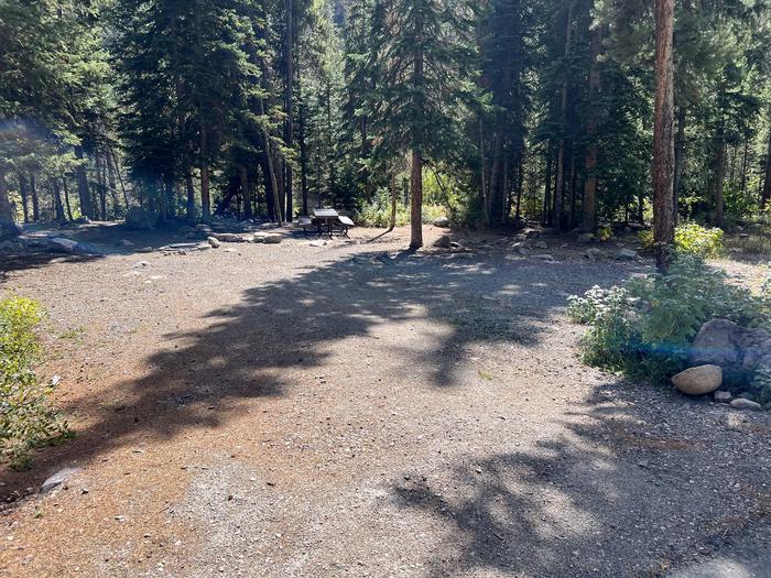 A photo of Site 3 of Loop COBBL at Cobblerest Campground with Picnic Table