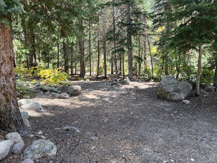 A photo of Site 3 of Loop COBBL at Cobblerest Campground with No Amenities Shown