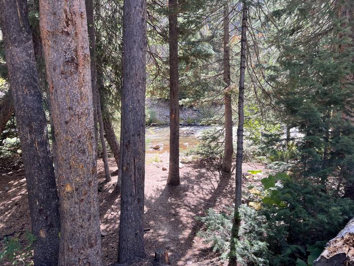 A photo of Site 3 of Loop COBBL at Cobblerest Campground with Waterfront