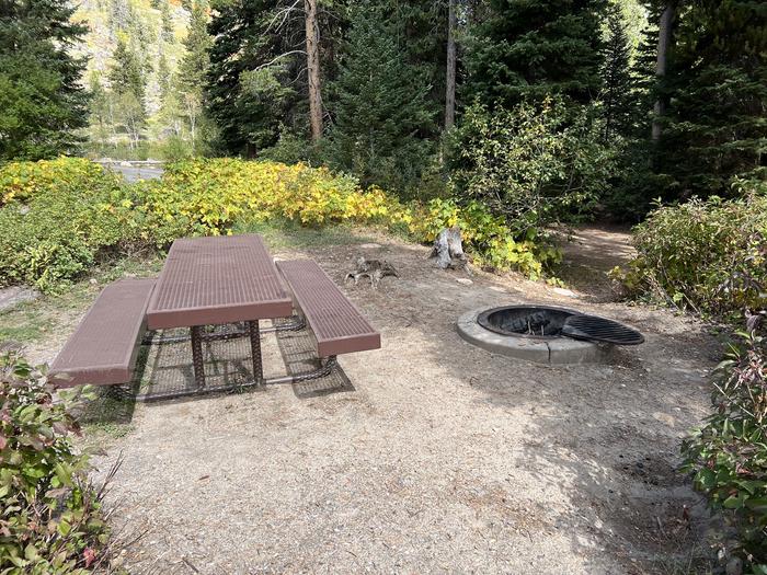 A photo of Site 7 of Loop COBBL at Cobblerest Campground with Picnic Table, Fire Pit