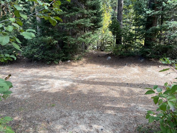 A photo of Site 7 of Loop COBBL at Cobblerest Campground with No Amenities Shown