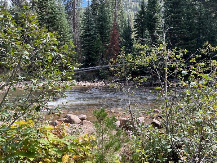 A photo of Site 7 of Loop COBBL at Cobblerest Campground with Waterfront