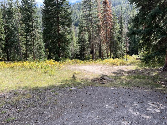 A photo of Site 11 of Loop COBBL at Cobblerest Campground with No Amenities Shown