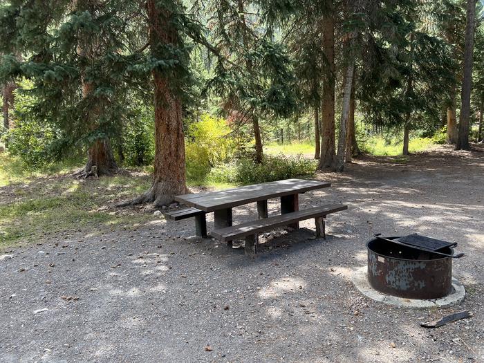 A photo of Site 11 of Loop COBBL at Cobblerest Campground with Picnic Table, Fire Pit