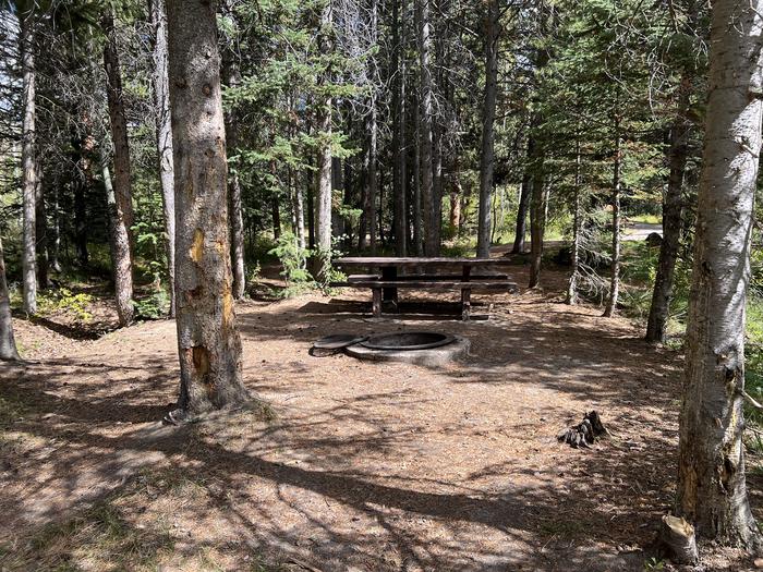 A photo of Site 14 of Loop COBBL at Cobblerest Campground with Picnic Table, Fire Pit