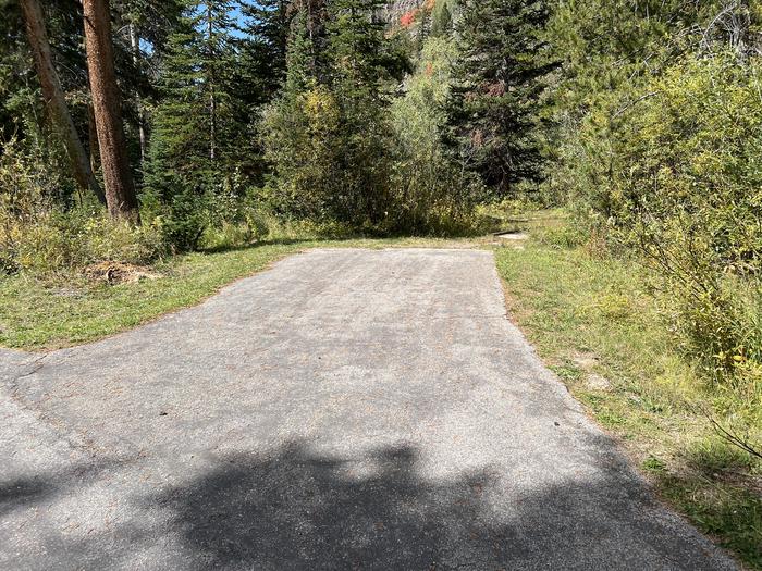 A photo of Site 14 of Loop COBBL at Cobblerest Campground with No Amenities Shown