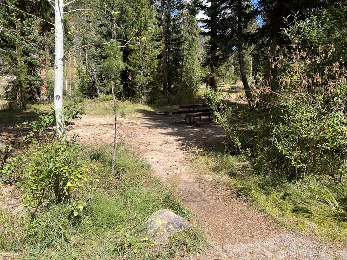 A photo of Site 13 of Loop COBBL at Cobblerest Campground with No Amenities Shown