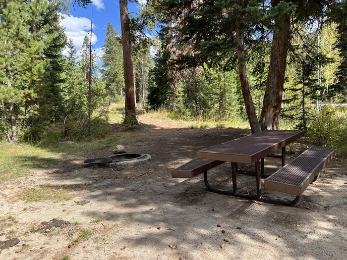 A photo of Site 13 of Loop COBBL at Cobblerest Campground with Picnic Table, Fire Pit