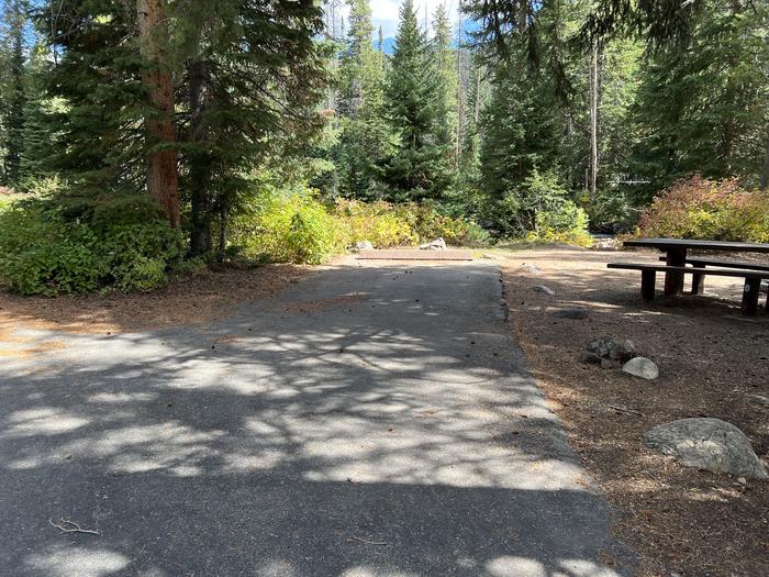 A photo of Site 6 of Loop COBBL at Cobblerest Campground with Picnic Table