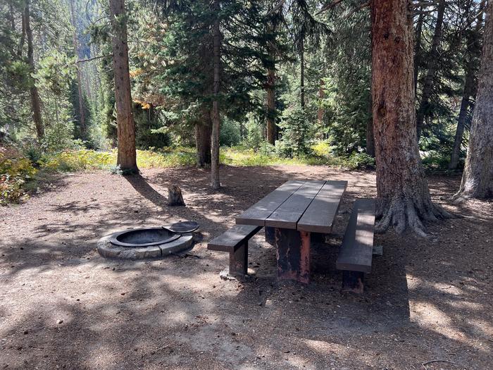 A photo of Site 6 of Loop COBBL at Cobblerest Campground with Picnic Table, Fire Pit