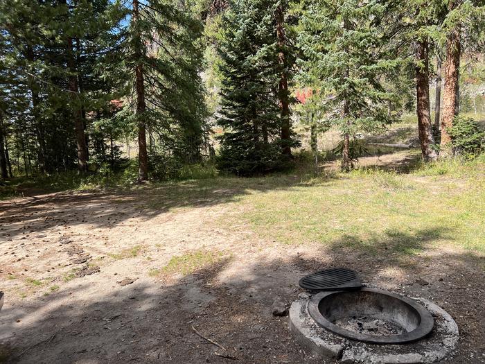 A photo of Site 13 of Loop COBBL at Cobblerest Campground with Fire Pit